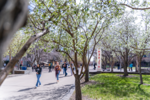 students walking on campus in spring